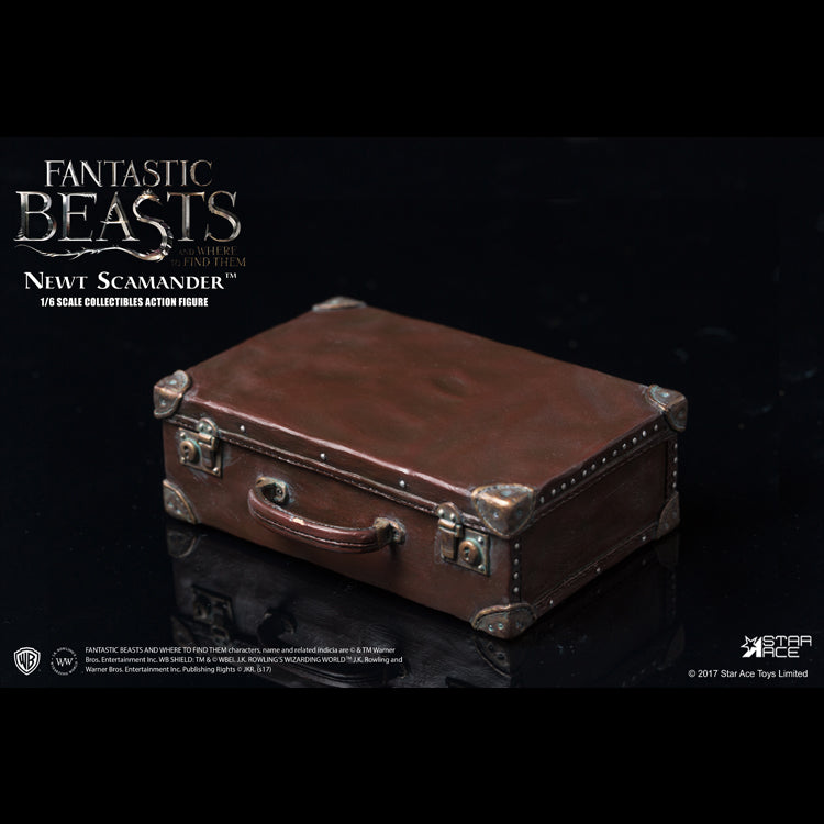 1/6 NEWT SCAMANDER