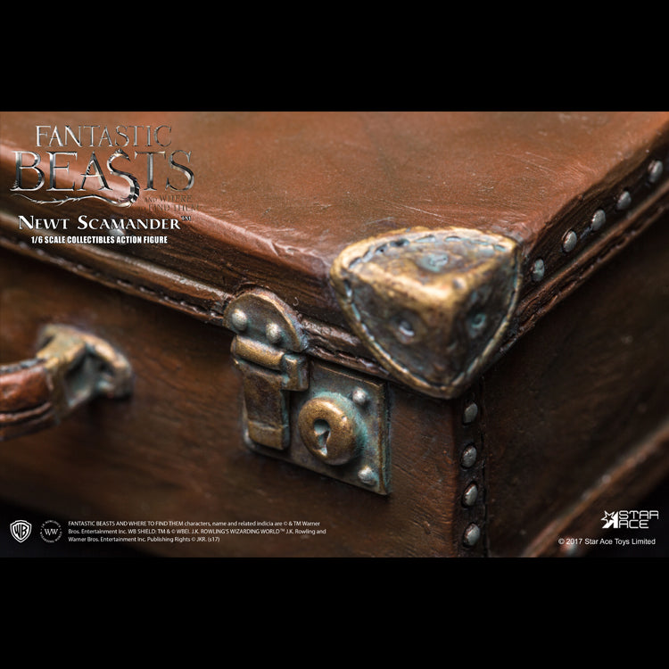1/6 NEWT SCAMANDER