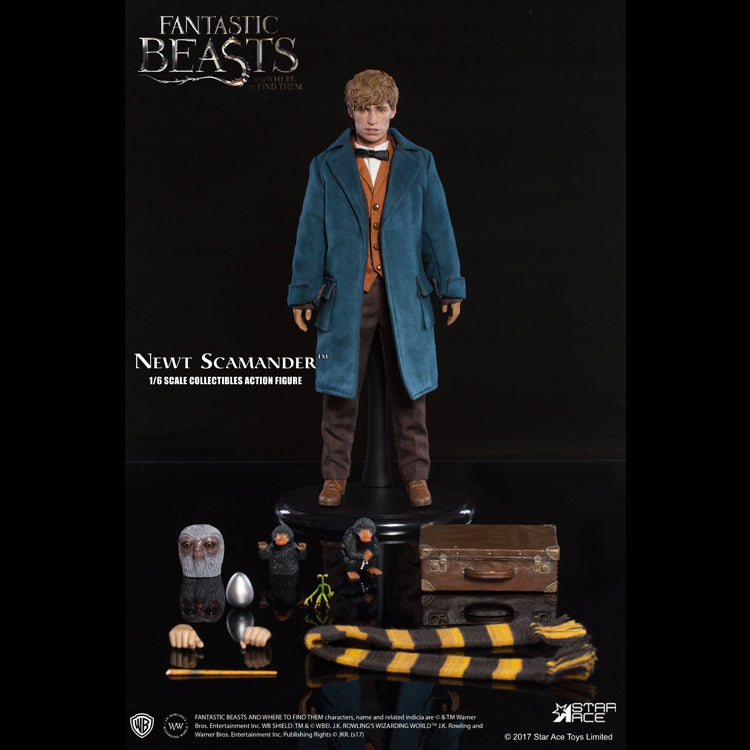 1/6 NEWT SCAMANDER