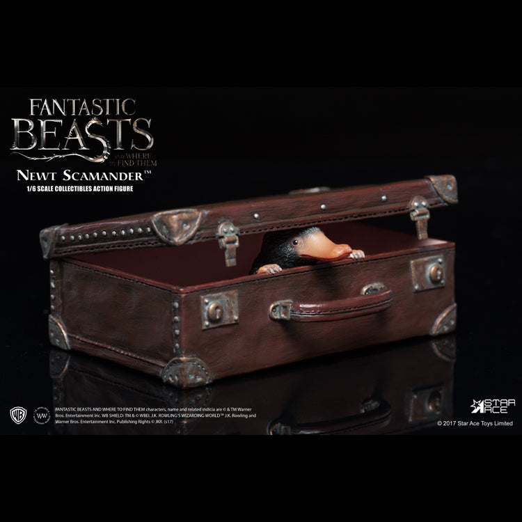 1/6 NEWT SCAMANDER