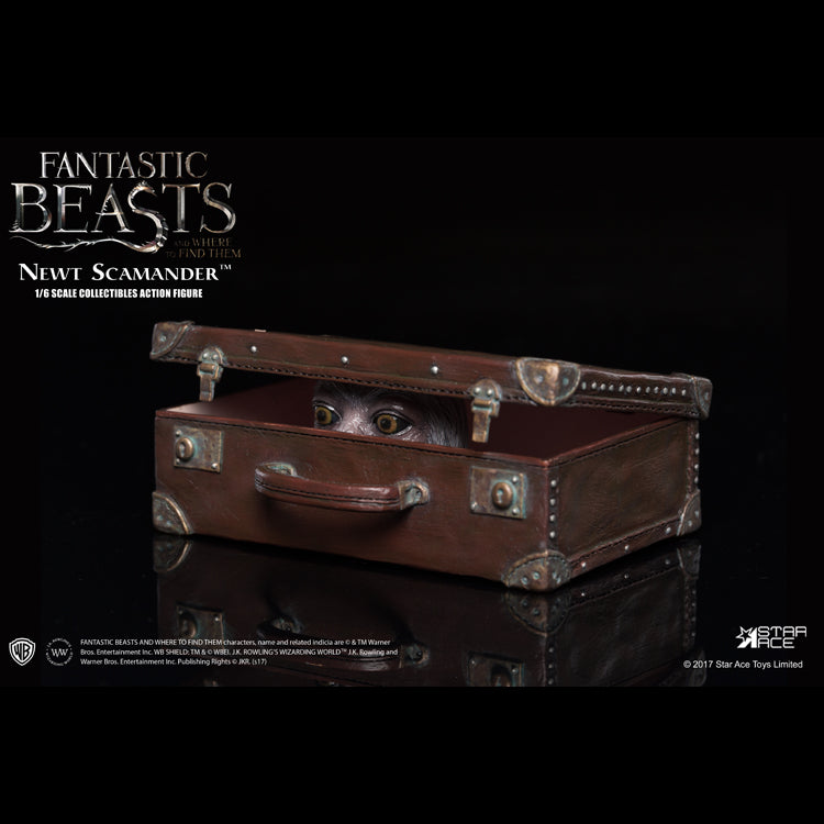 1/6 NEWT SCAMANDER