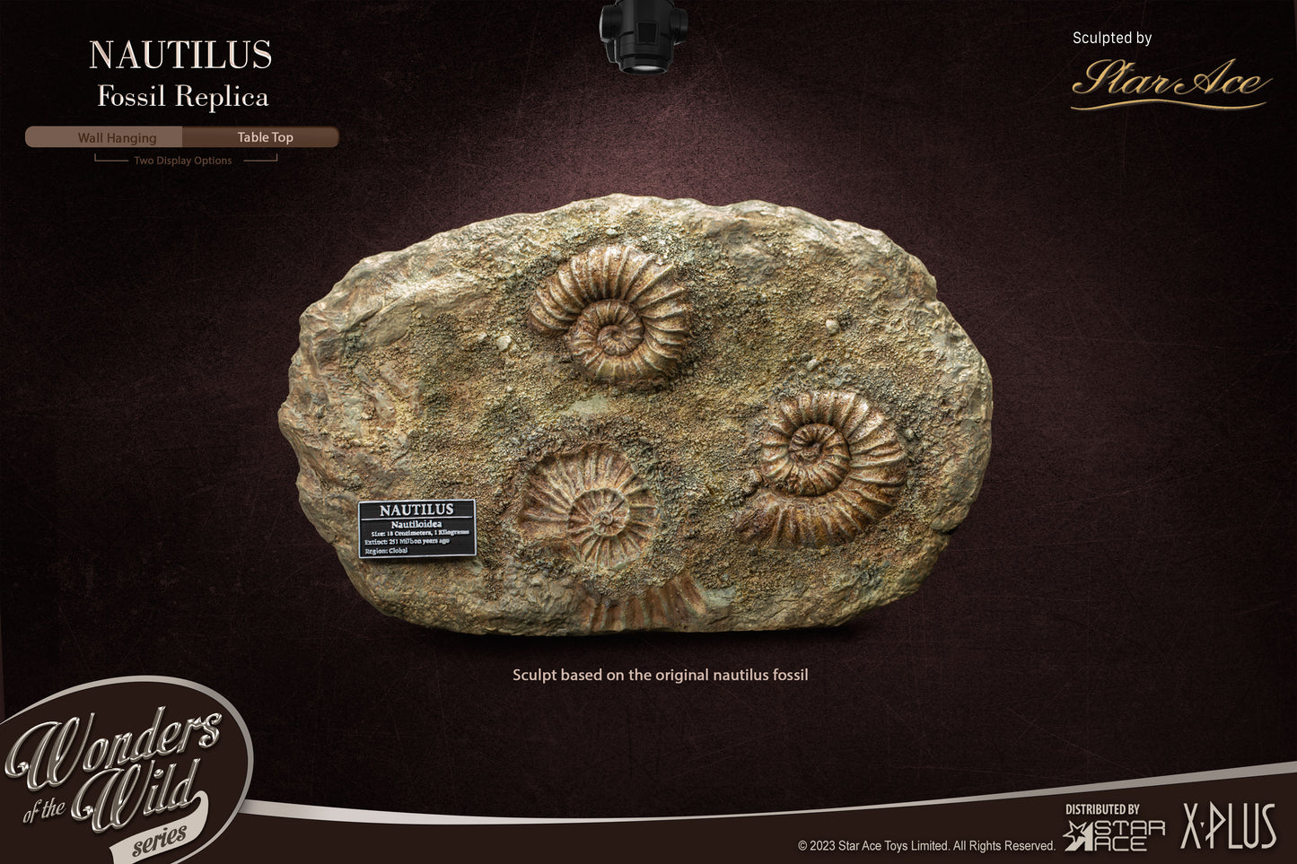 Nautilus 1:1 Replicas Frame & Fossil(Deluxe ver.)