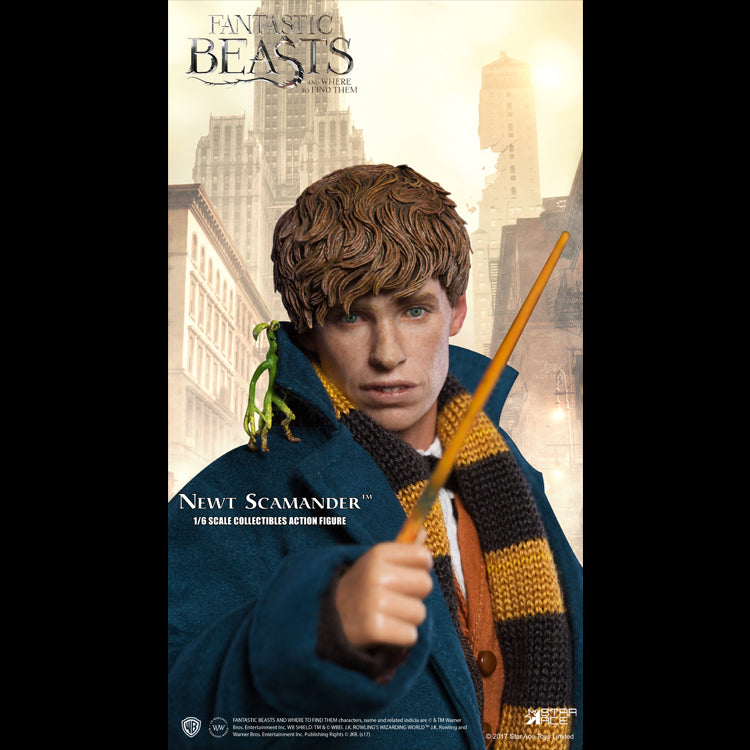 1/6 NEWT SCAMANDER