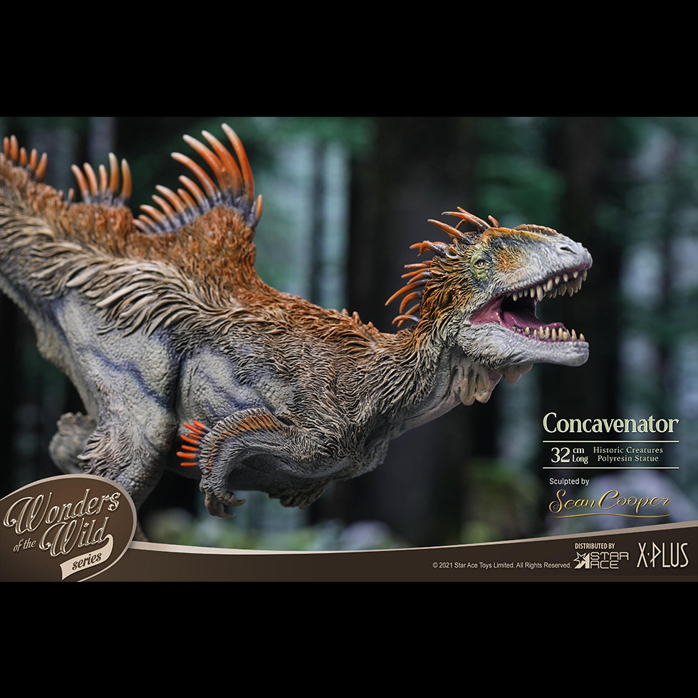 Concavenator(DX Ver) with Fossil Replica
