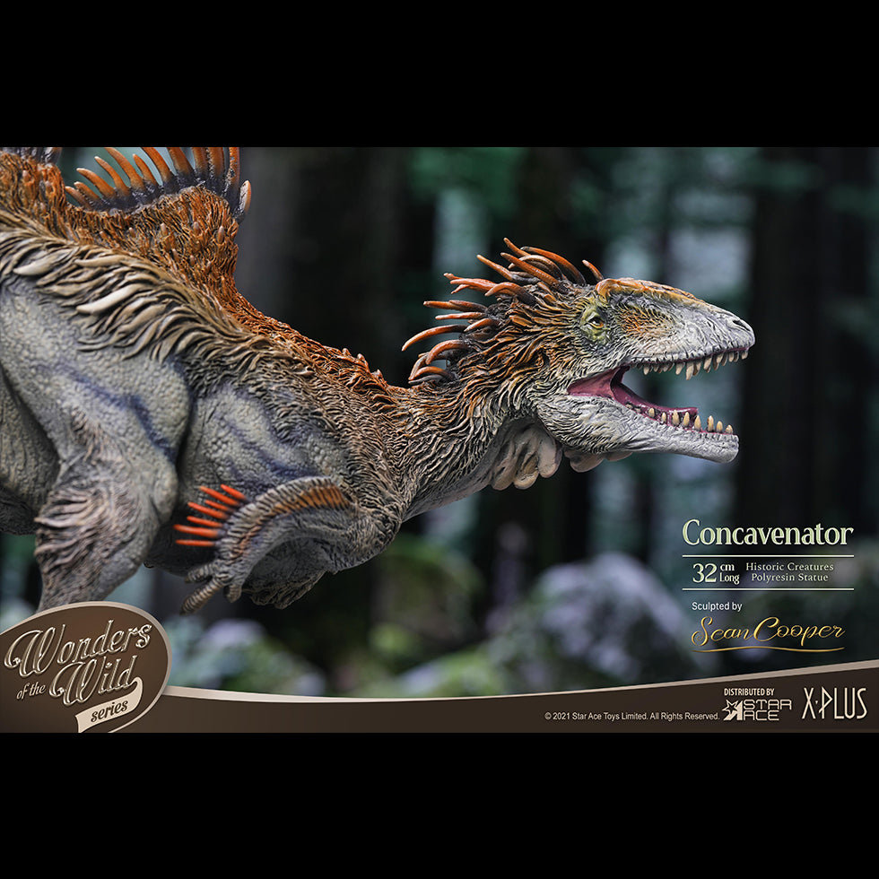 Concavenator(DX Ver) with Fossil Replica