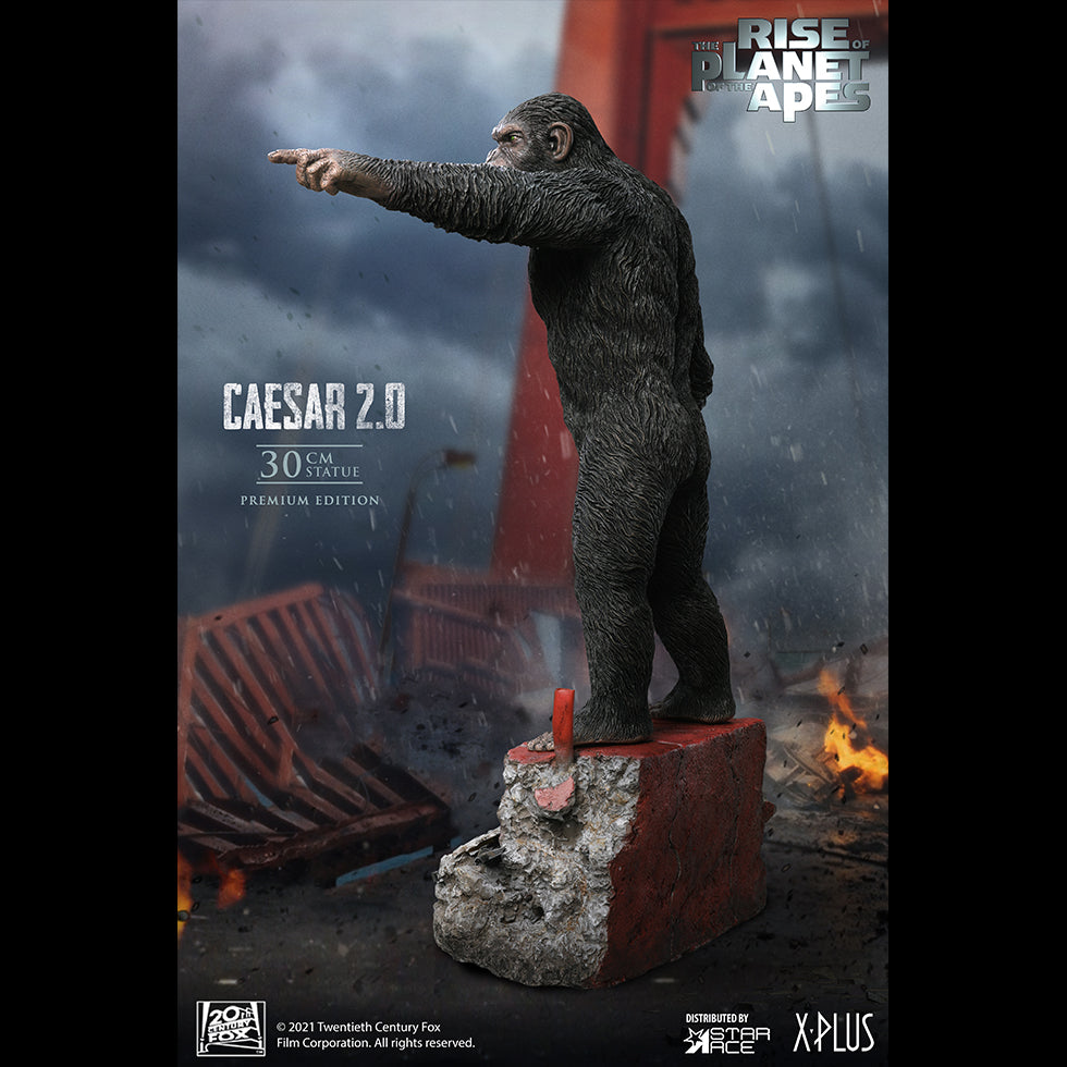Caesar 2.0 DX
