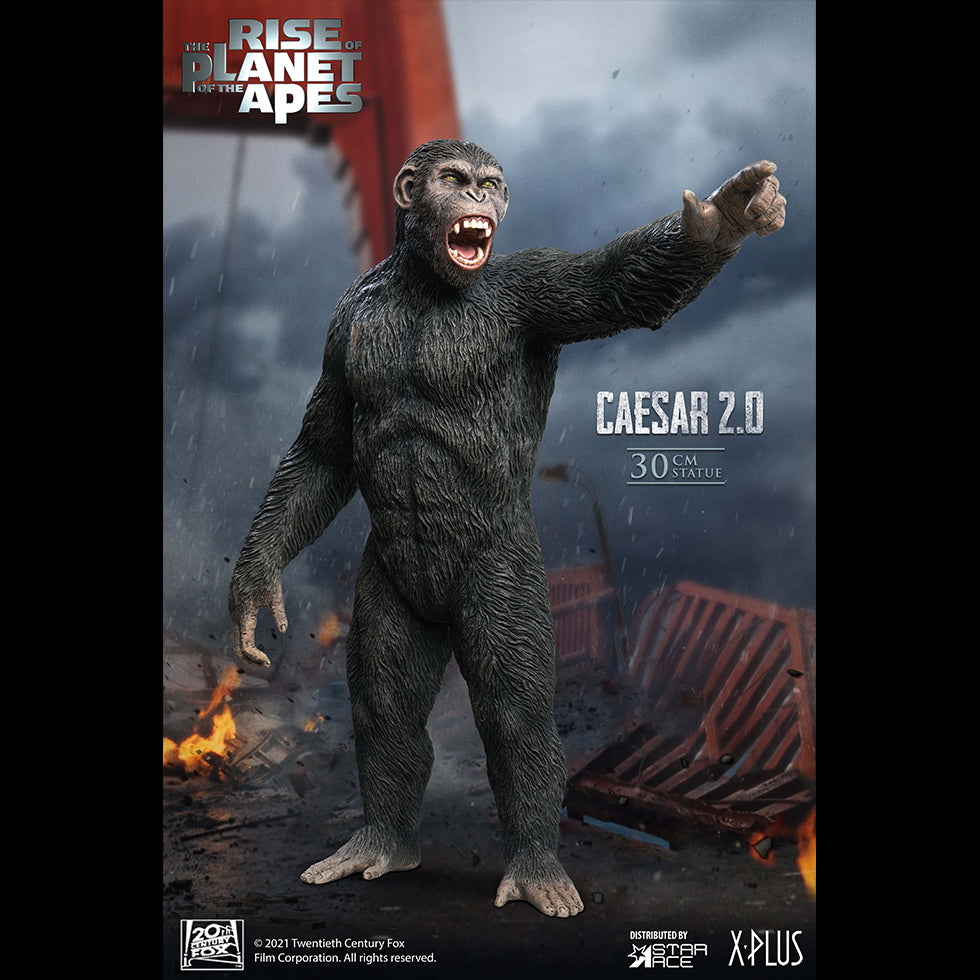 Caesar 2.0 NX