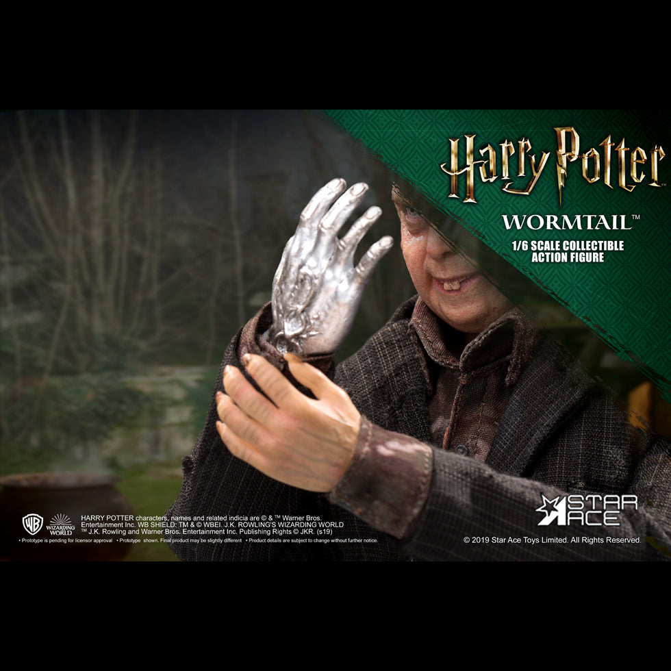 PETER PETTIGREW DX