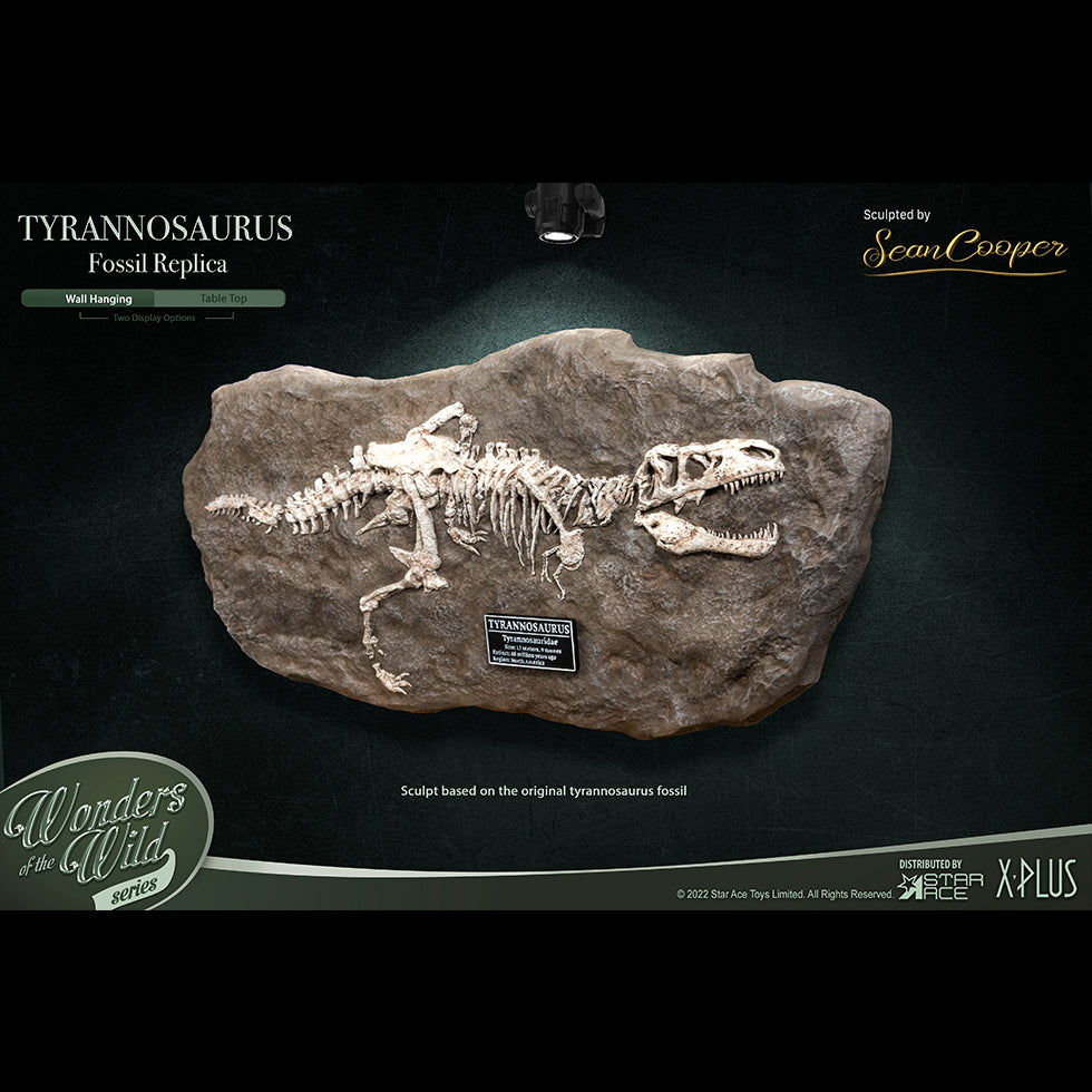 T-Rex(Fossil Replica)