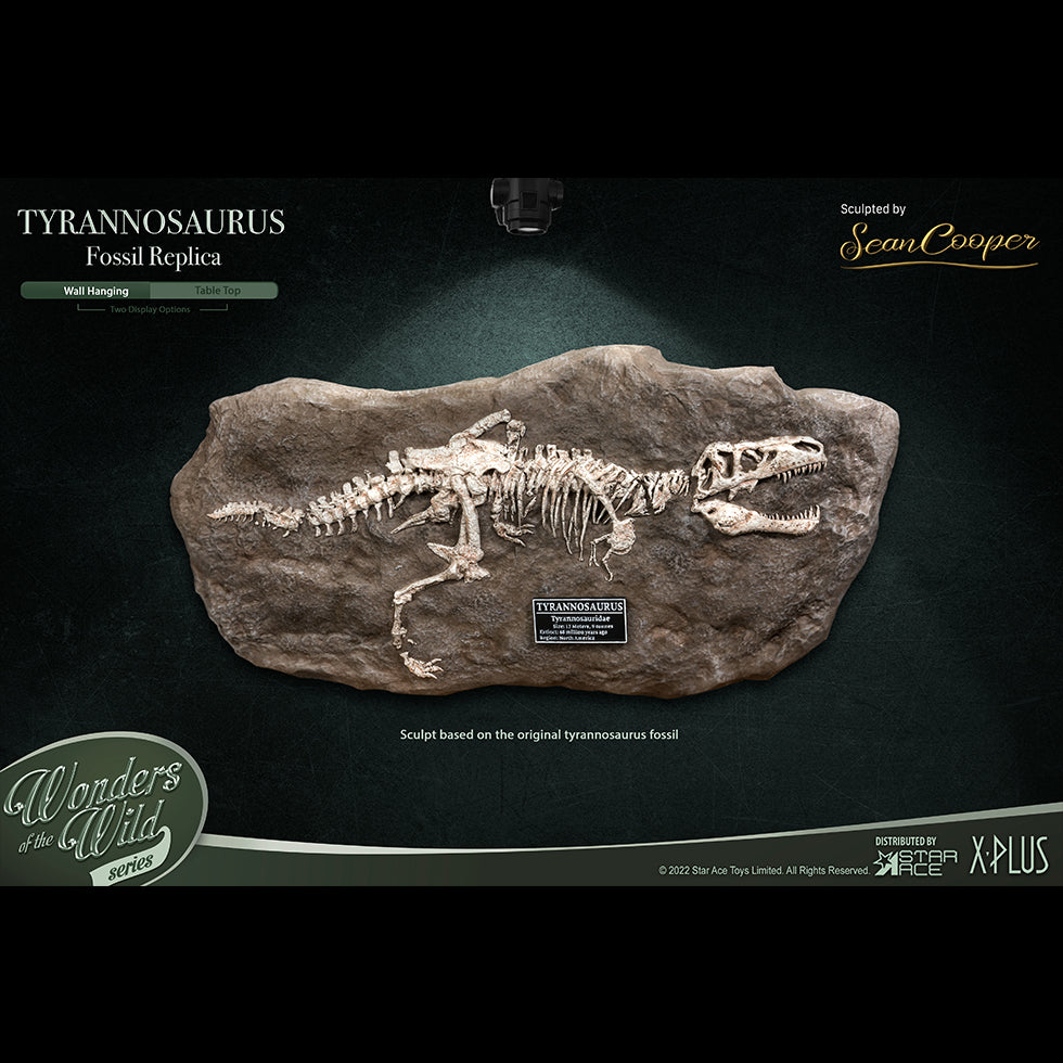 T-Rex(Fossil Replica)