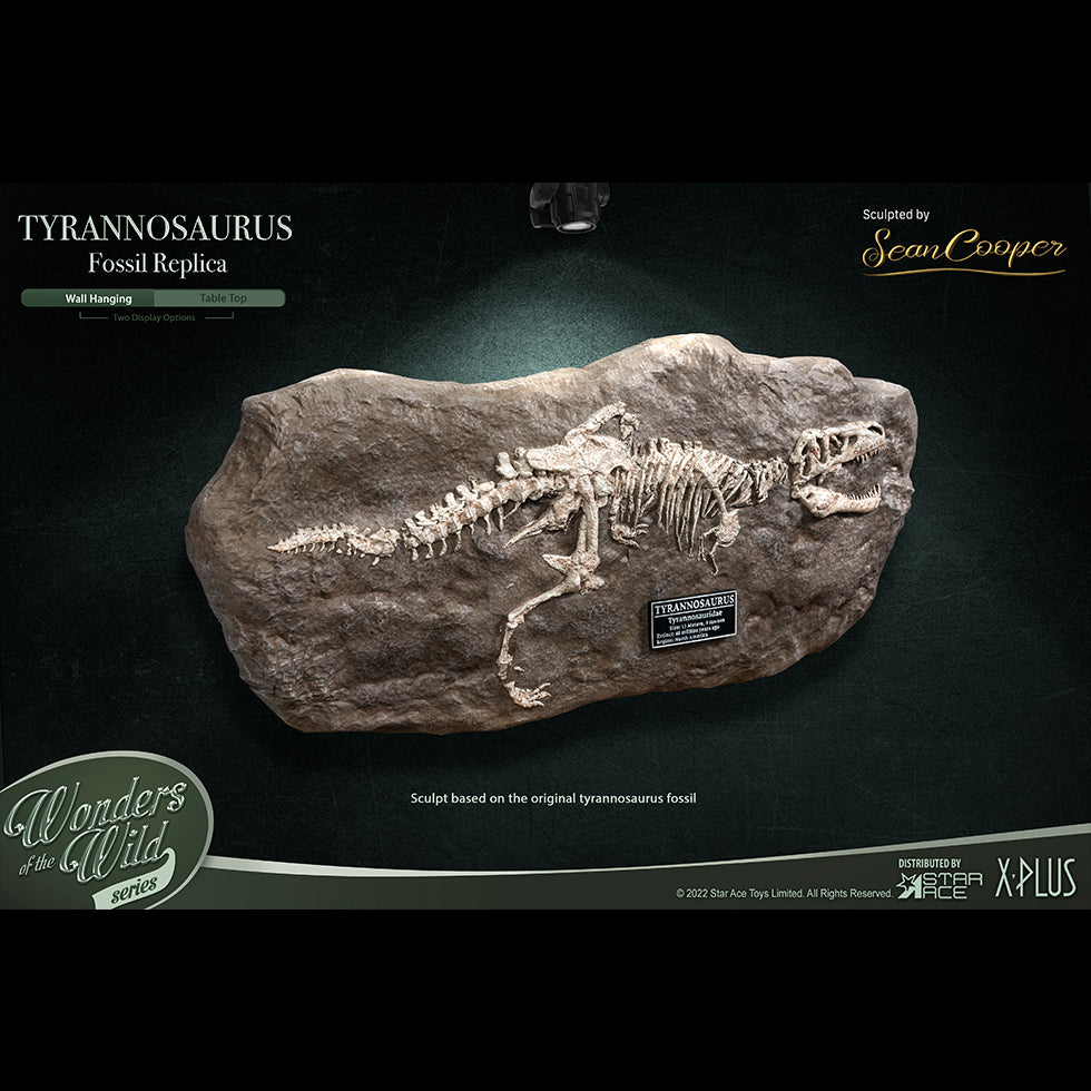 T-Rex(Fossil Replica)