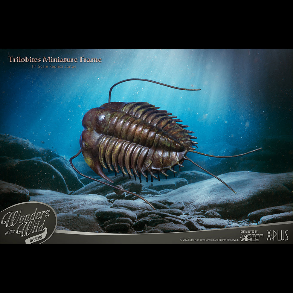 Trilobites  1:1 Replicas & Fossil(Deluxe ver.)