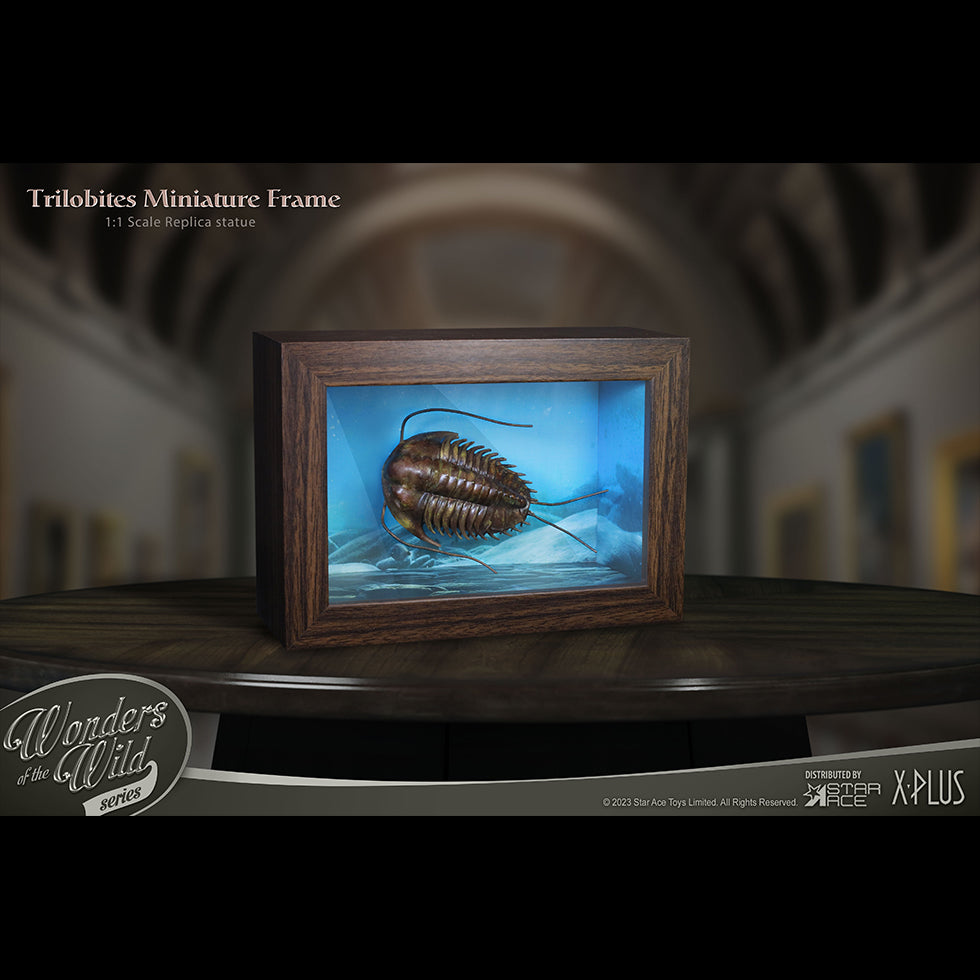Trilobites 1:1 Replicas & Fossil(Normal ver.)