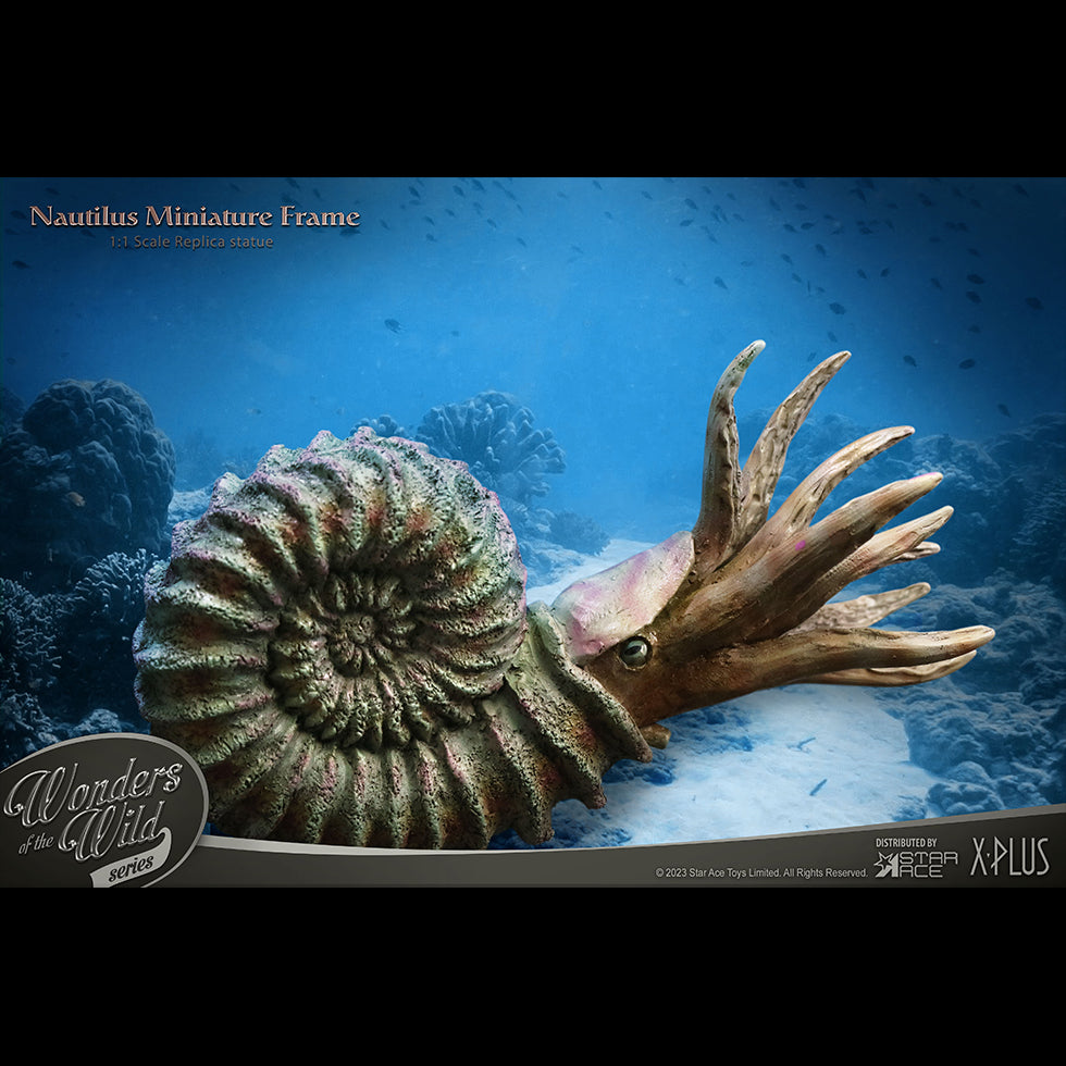 Nautilus 1:1 Replicas Frame(Normal ver.)