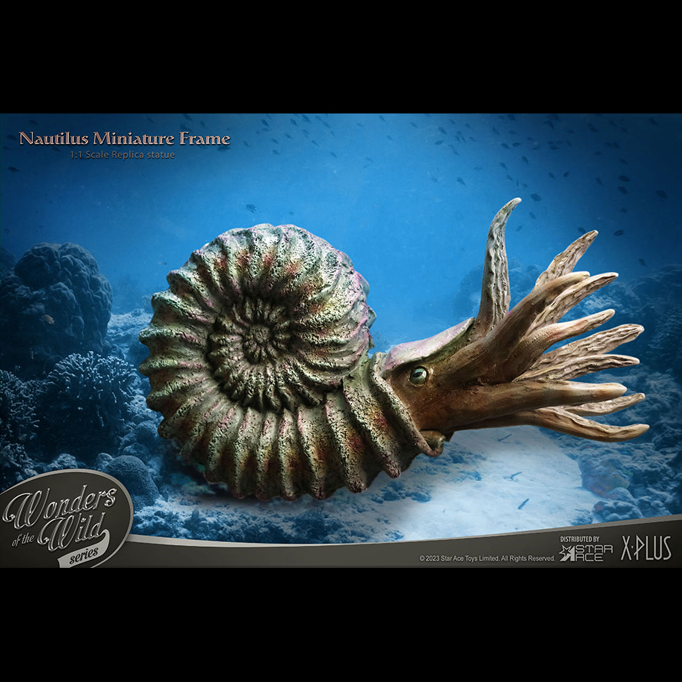Nautilus 1:1 Replicas Frame & Fossil(Deluxe ver.)
