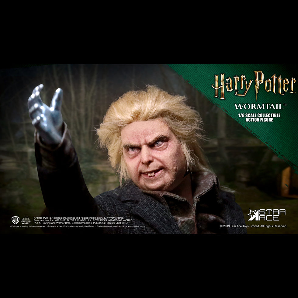 PETER PETTIGREW DX
