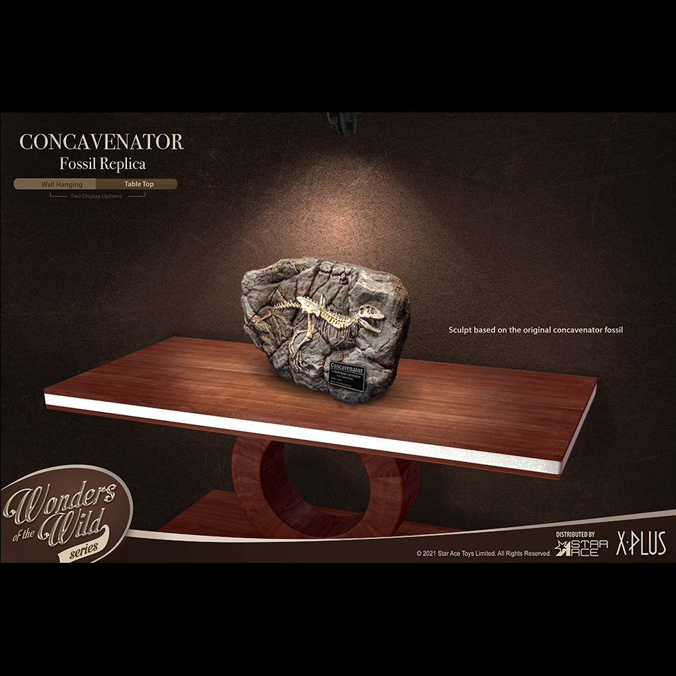 Concavenator(DX Ver) with Fossil Replica