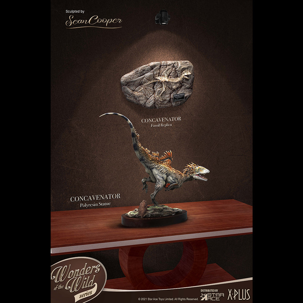 Concavenator(Fossil Replica)