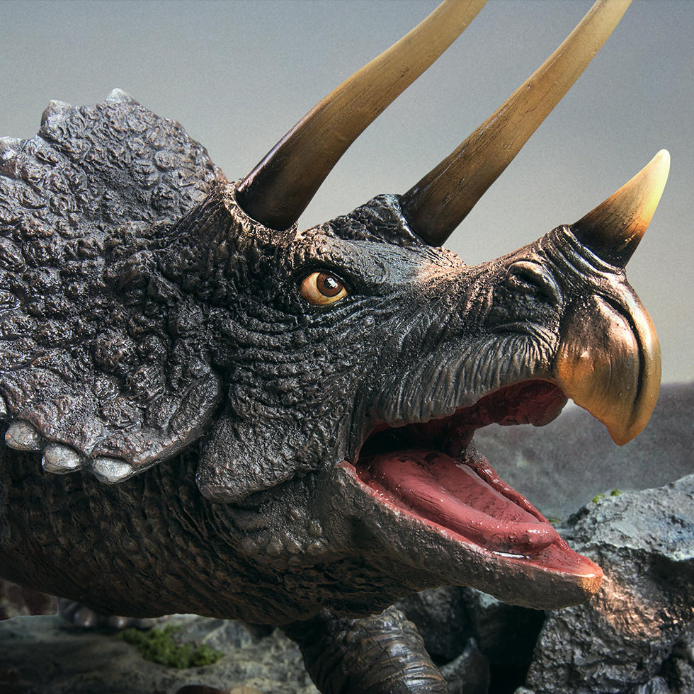 TRICERATOPS (POLYRESIN VER.)