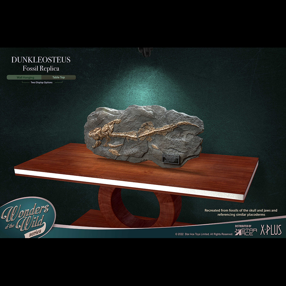 Dunkleosteus(Fossil Replica)