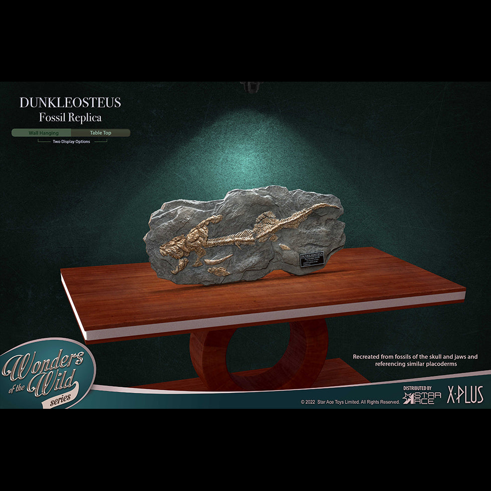 Dunkleosteus(Fossil Replica)