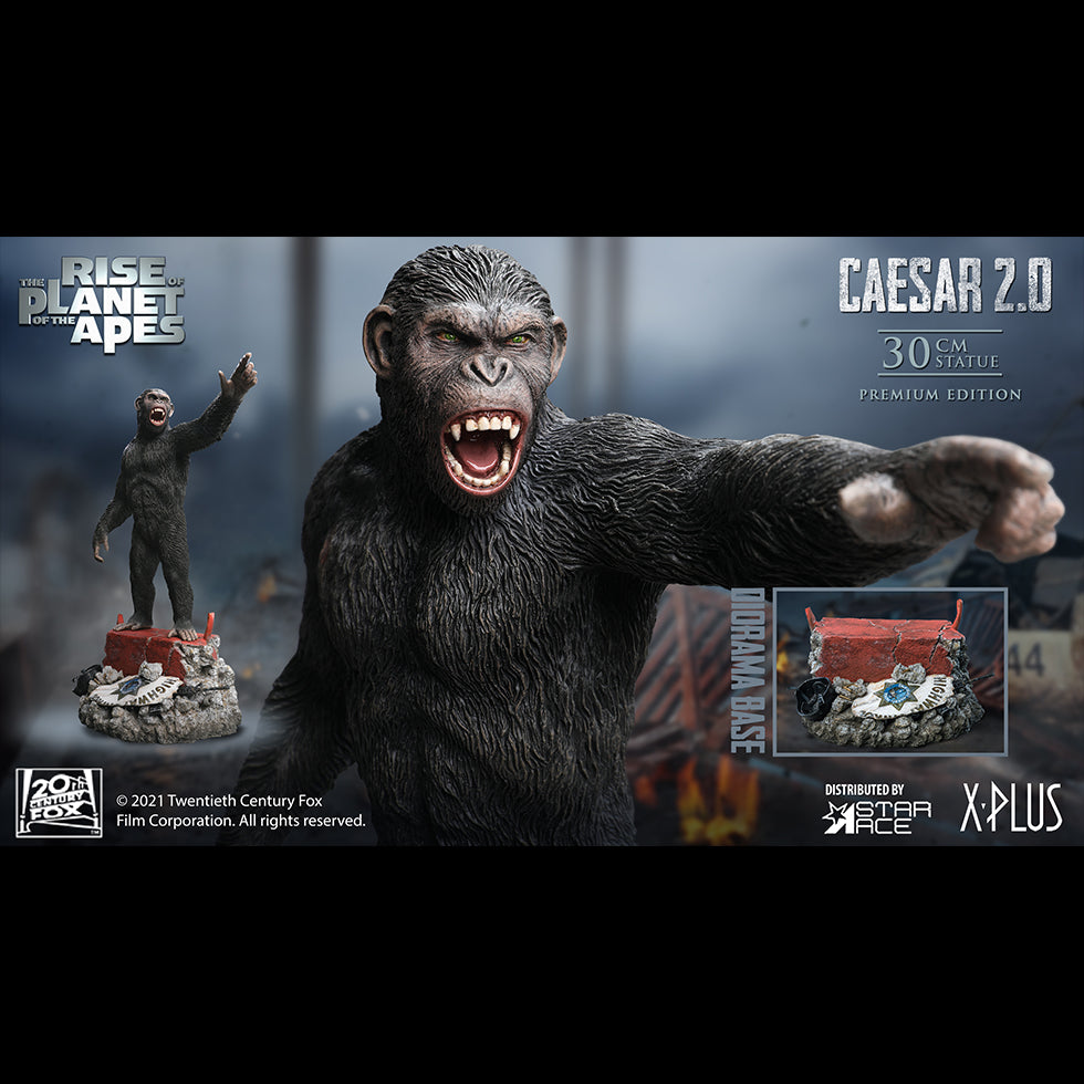 Caesar 2.0 DX
