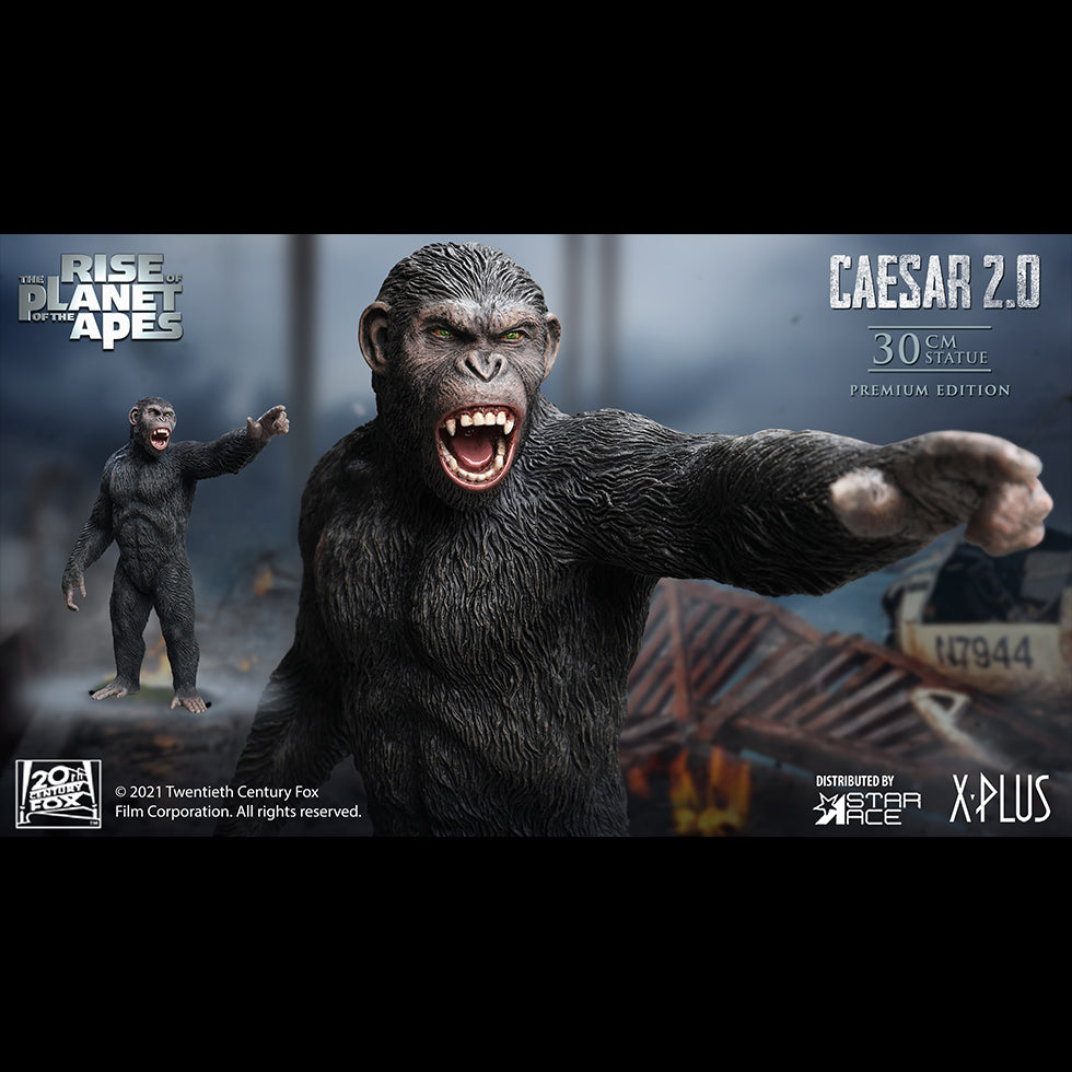 Caesar 2.0 NX