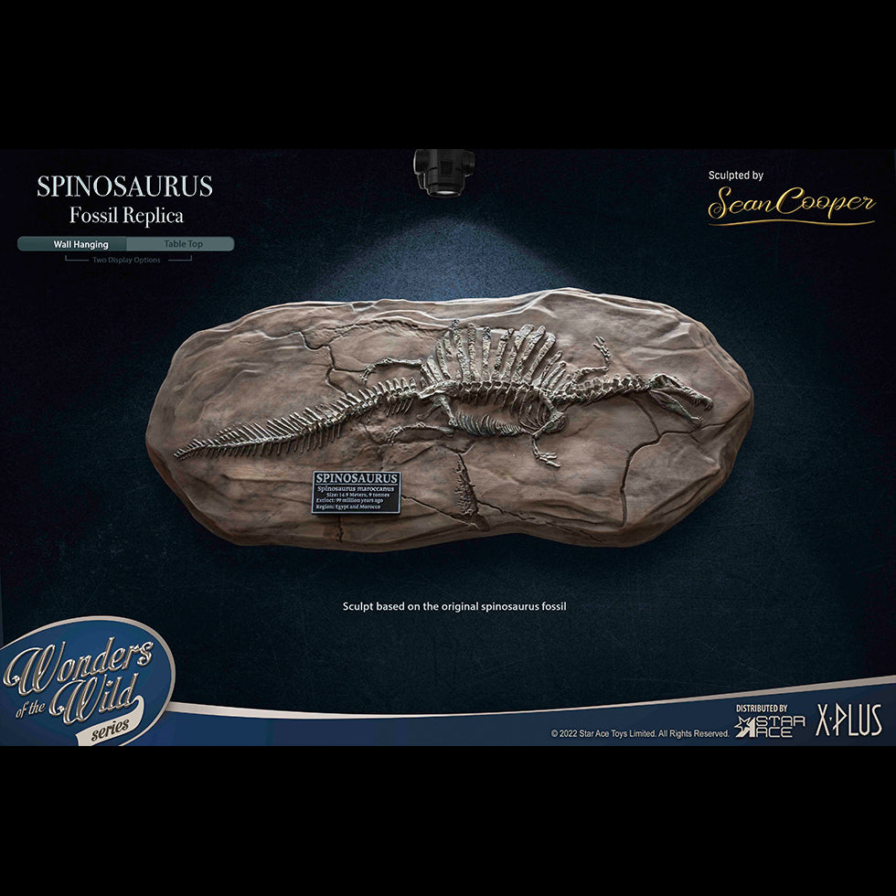 SPINOSAURUS "Land painting" & FOSSIL(DX VER)
