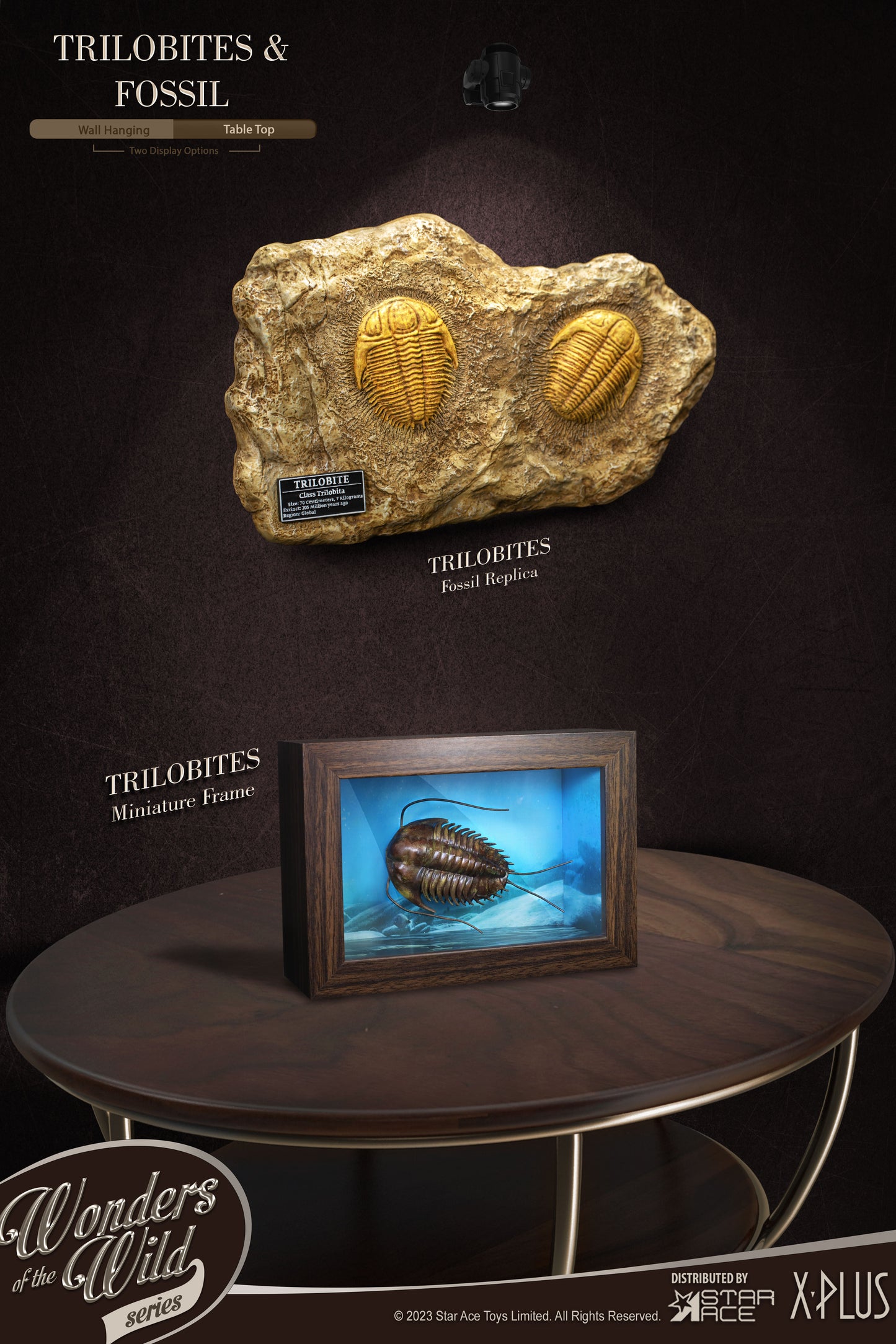 Trilobites  1:1 Replicas & Fossil(Deluxe ver.)