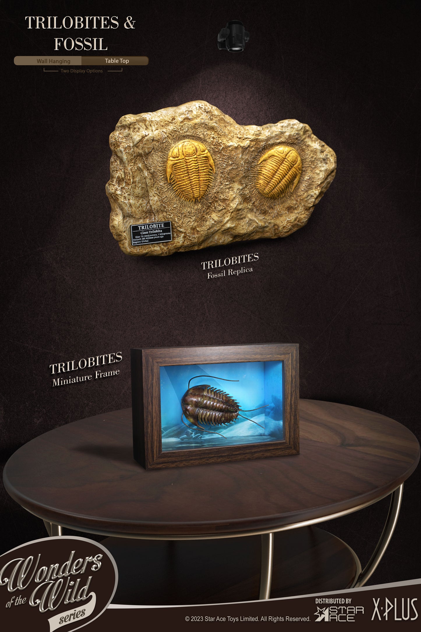 Trilobites 1:1 Replicas & Fossil(Deluxe ver.)