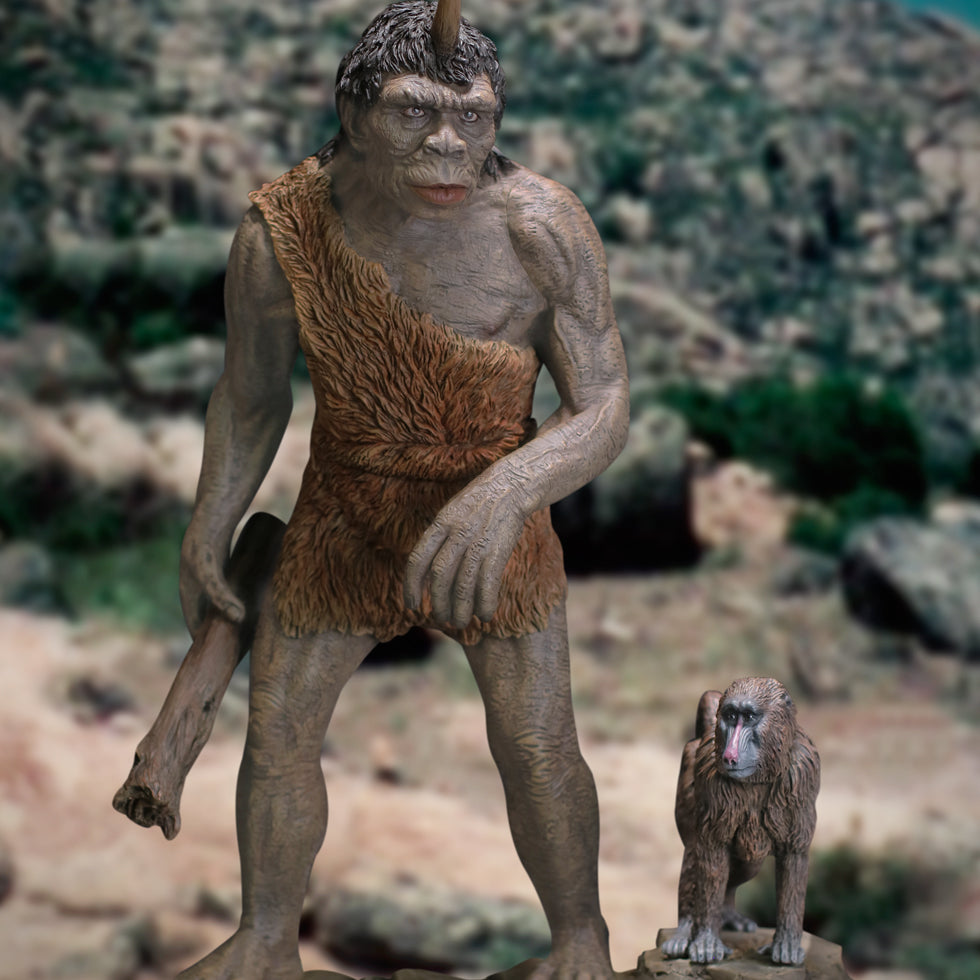 Troglodyte DX