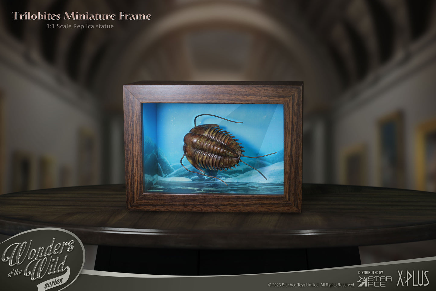 Trilobites 1:1 Replicas & Fossil(Normal ver.)