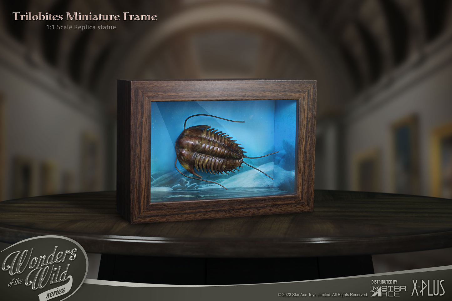 Trilobites 1:1 Replicas & Fossil(Deluxe ver.)