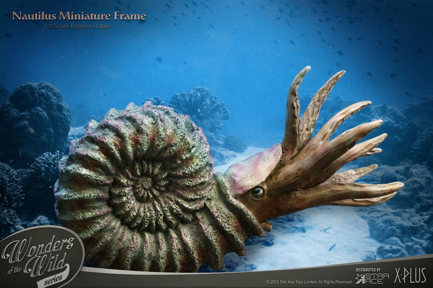 Nautilus  1:1 Replicas Frame & Fossil(Deluxe ver.)