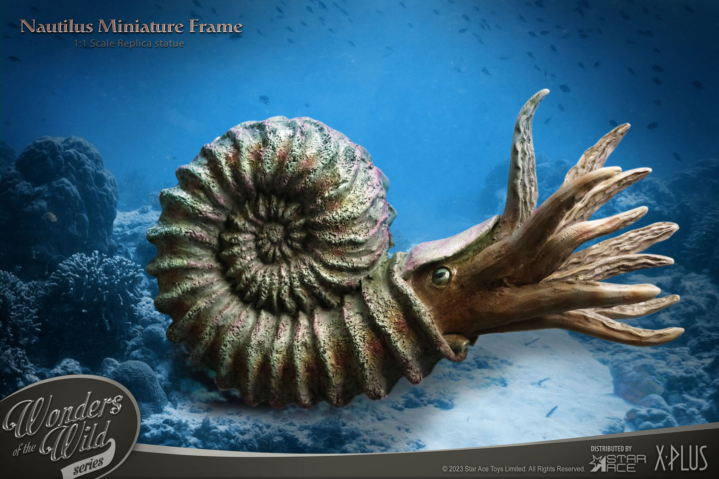 Nautilus 1:1 Replicas Frame(Normal ver.)