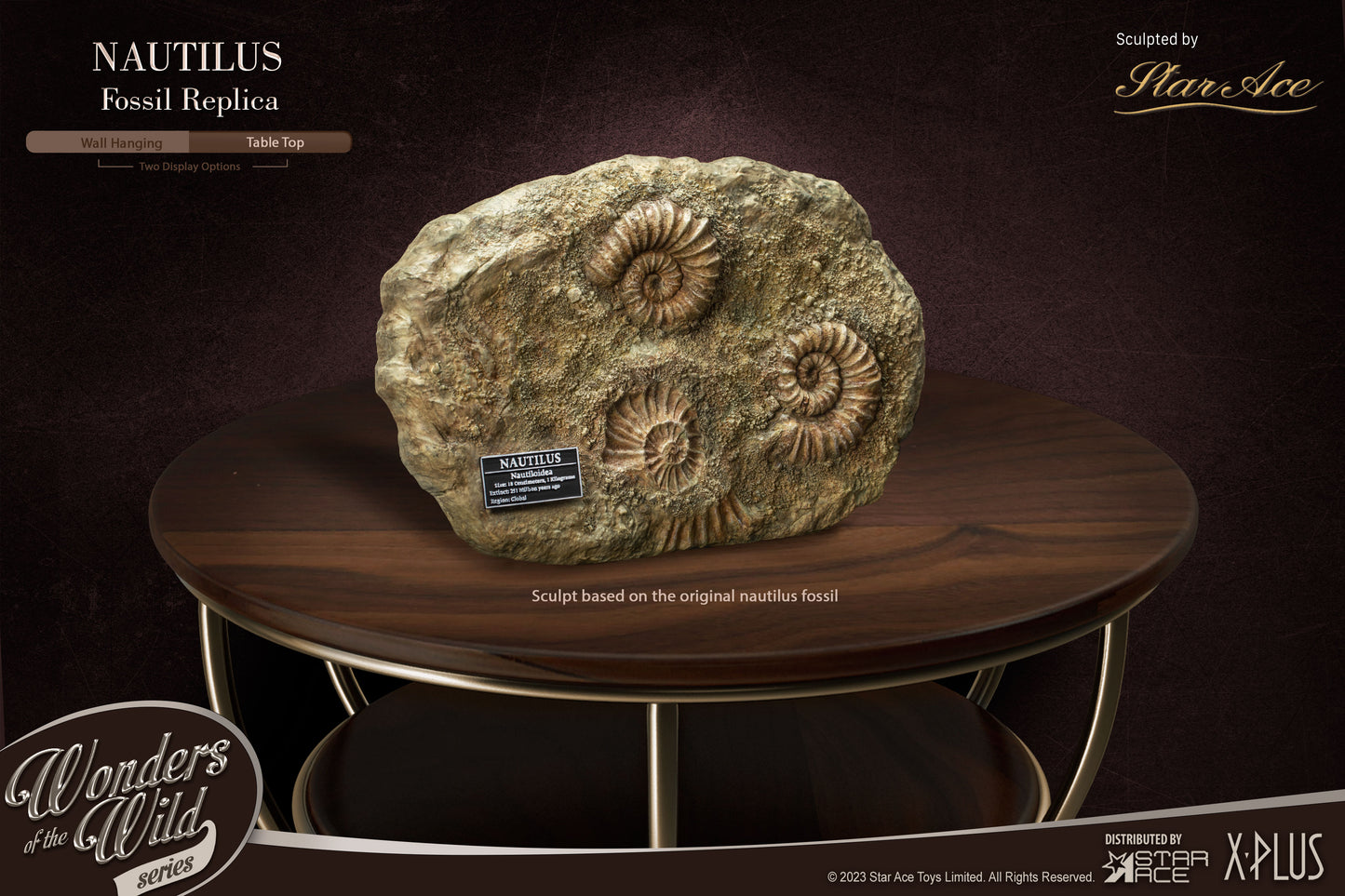 Nautilus 1:1 Replicas Frame & Fossil(Deluxe ver.)