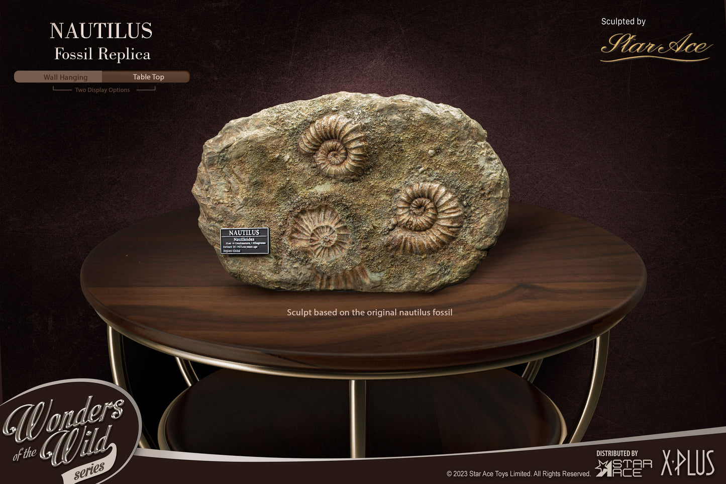 Nautilus  1:1 Replicas Frame & Fossil(Deluxe ver.)