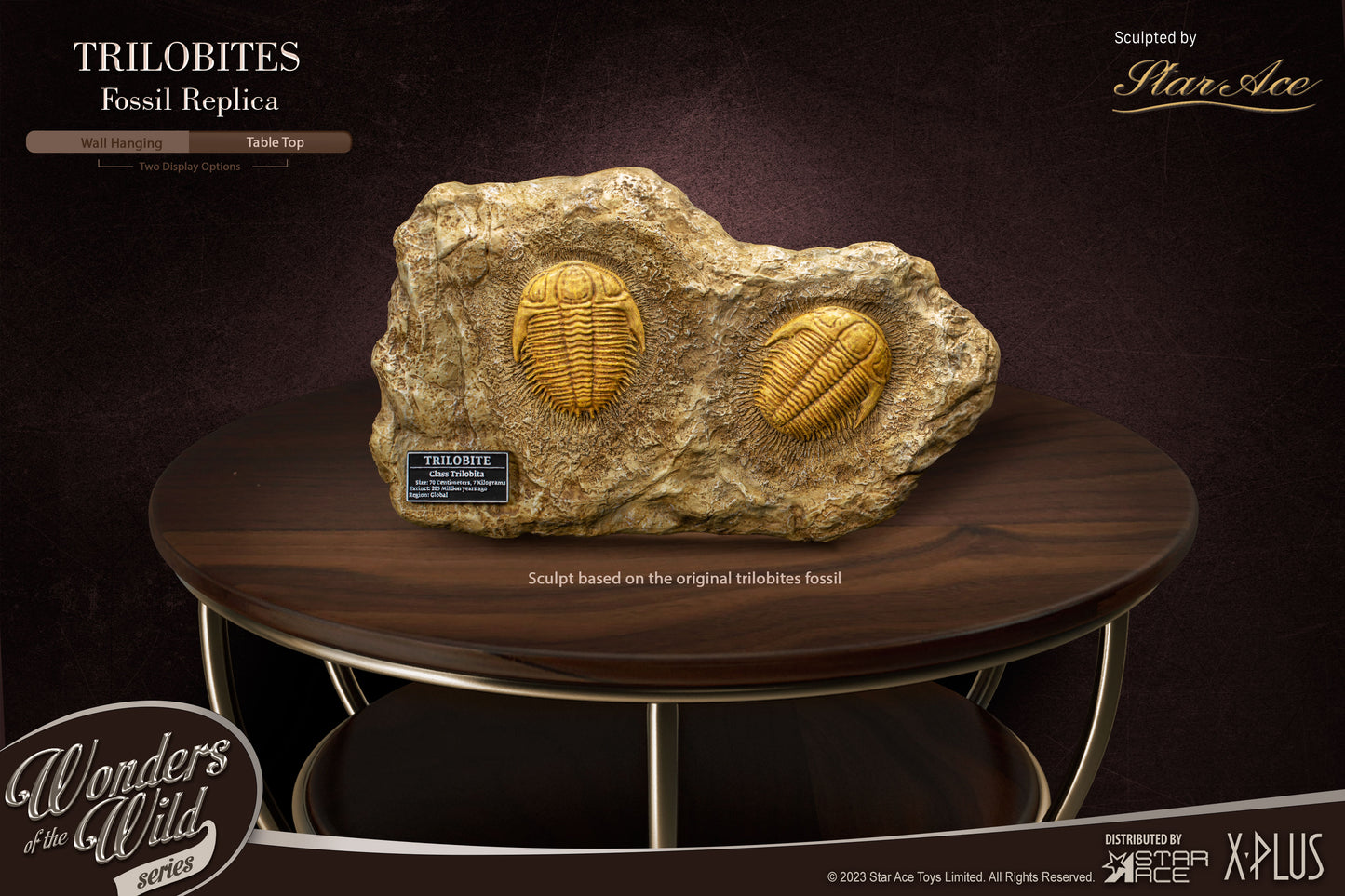 Trilobites 1:1 Replicas & Fossil(Deluxe ver.)