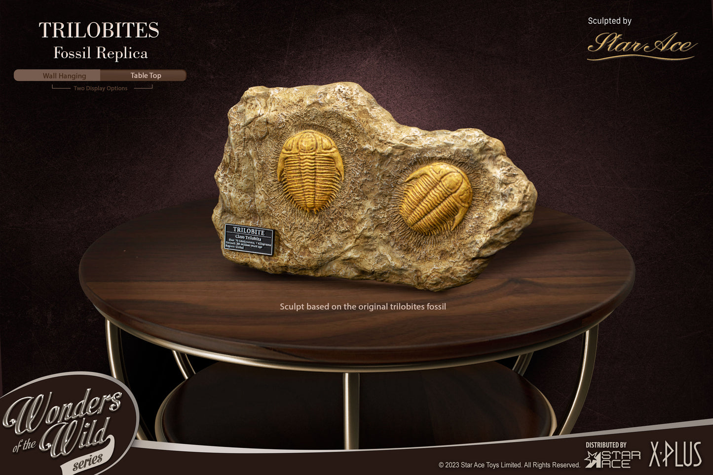 Trilobites 1:1 Replicas & Fossil(Deluxe ver.)