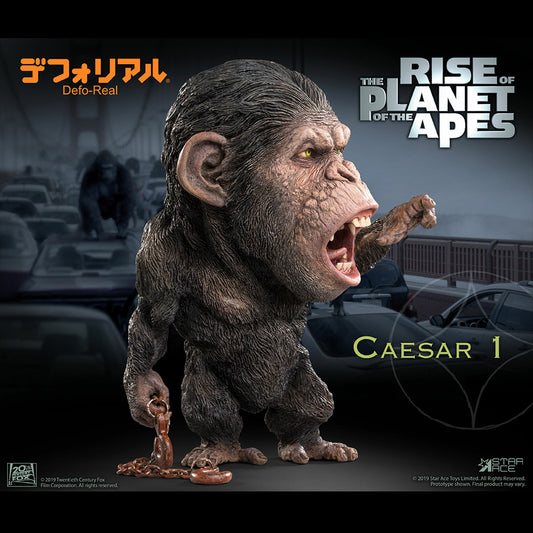DF CAESAR 1 NX