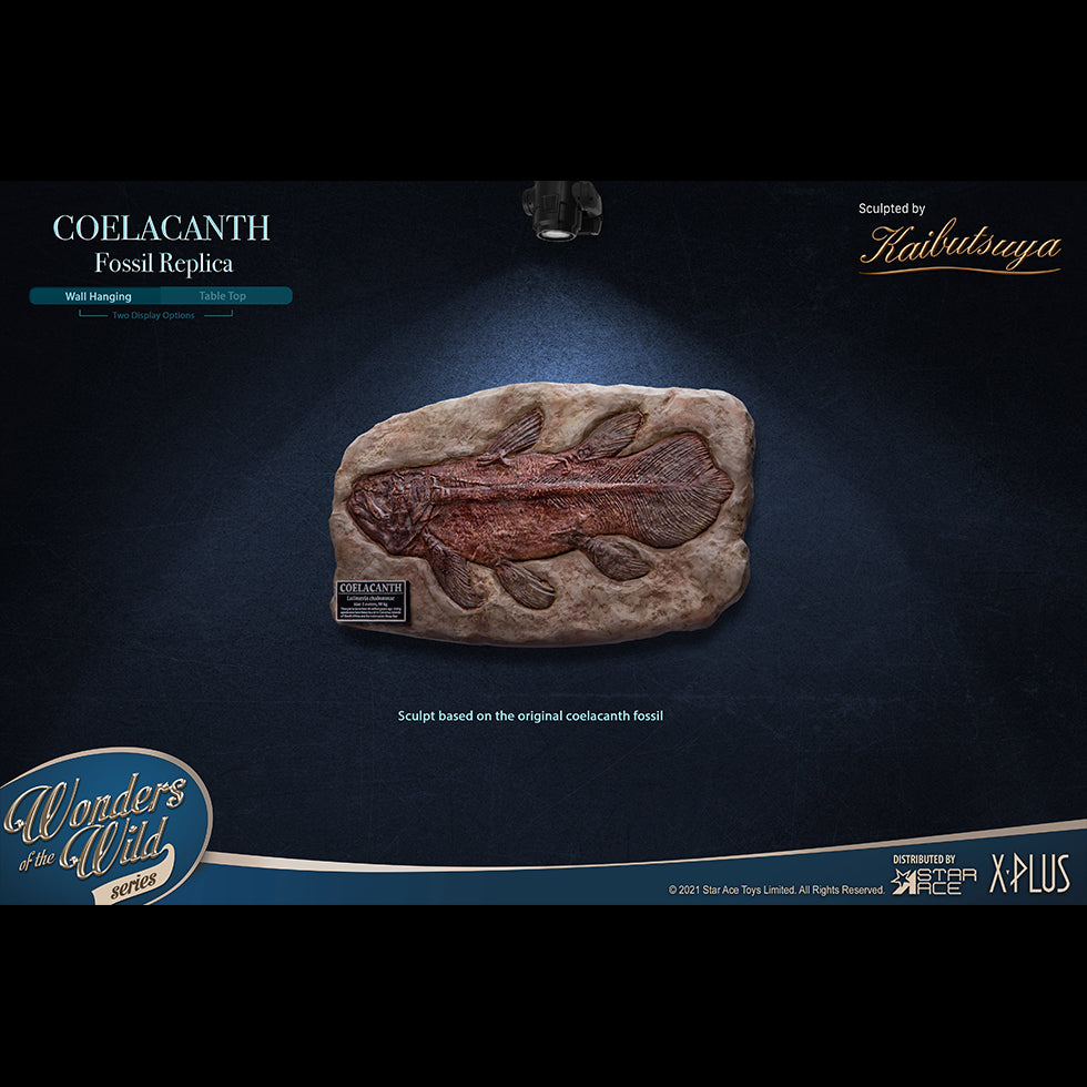 Coelacanth(Fossil Replica)