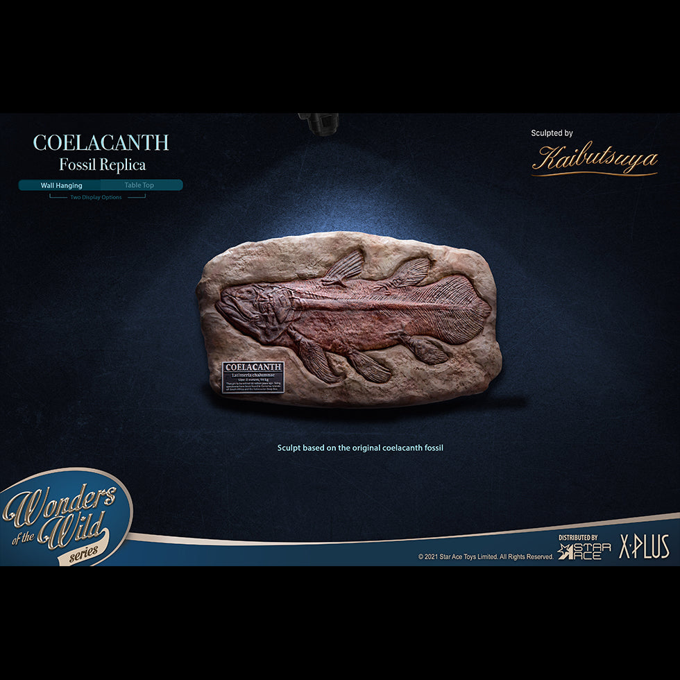 Coelacanth(Fossil Replica)