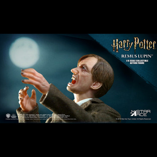 Remus Lupin DX