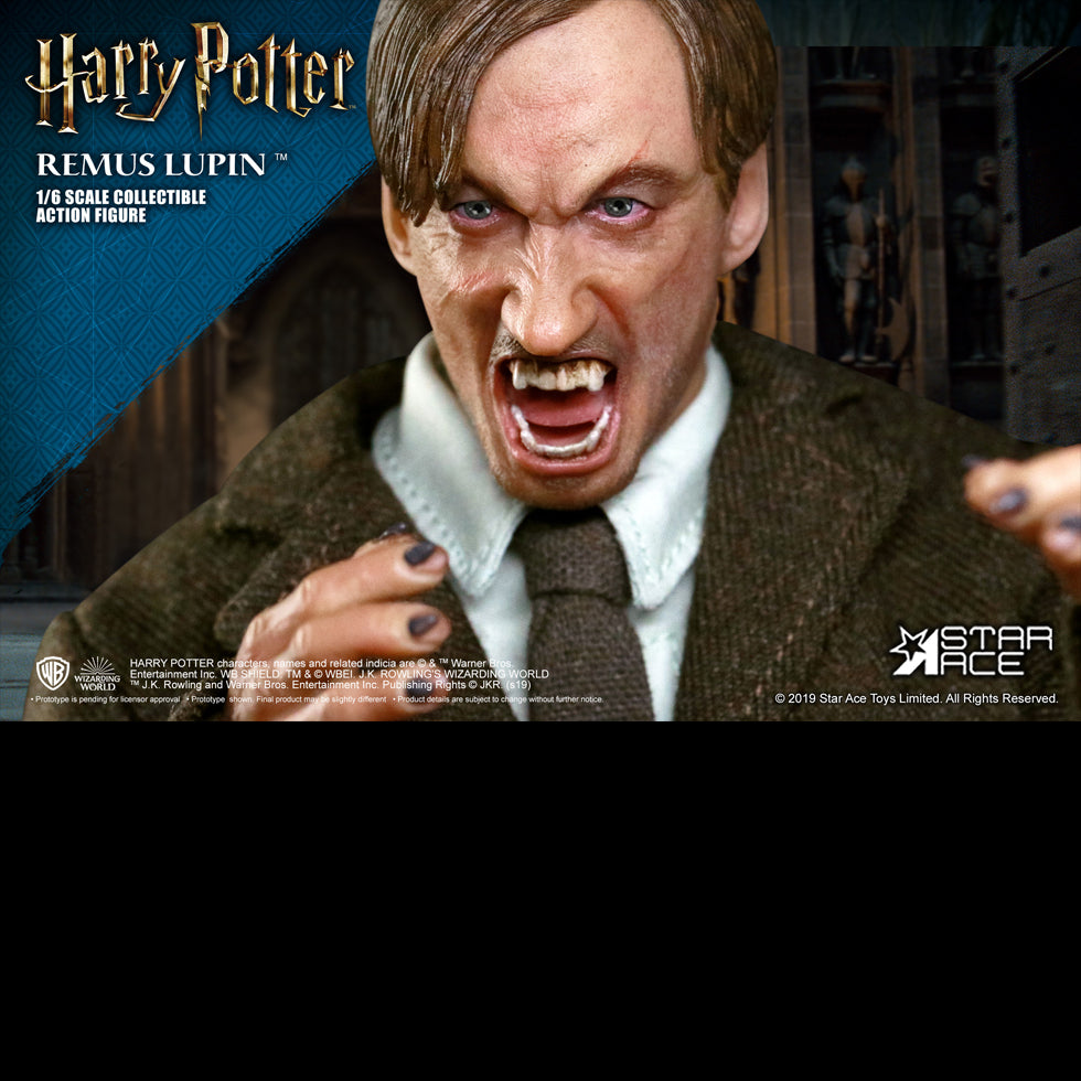Remus Lupin DX