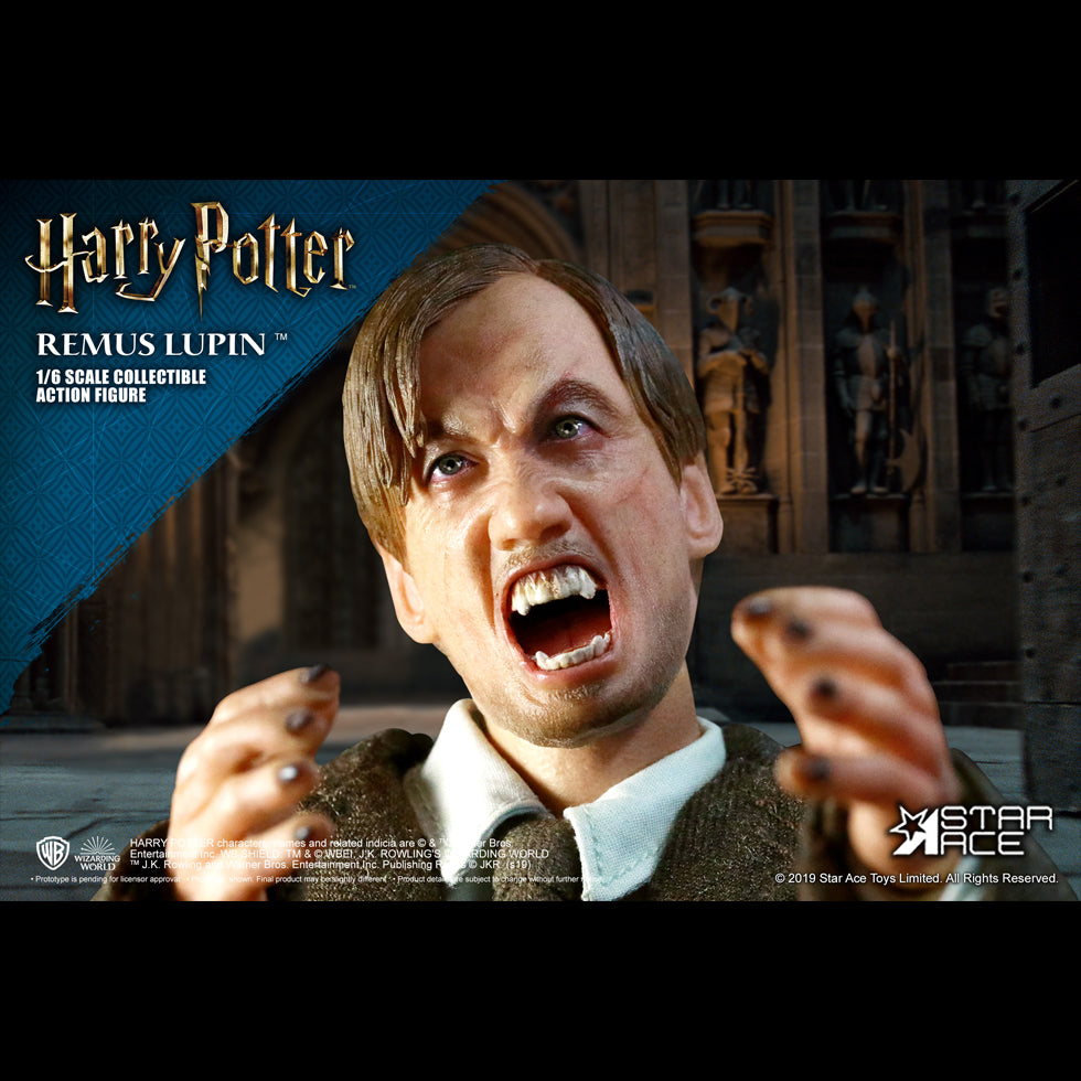 Remus Lupin DX