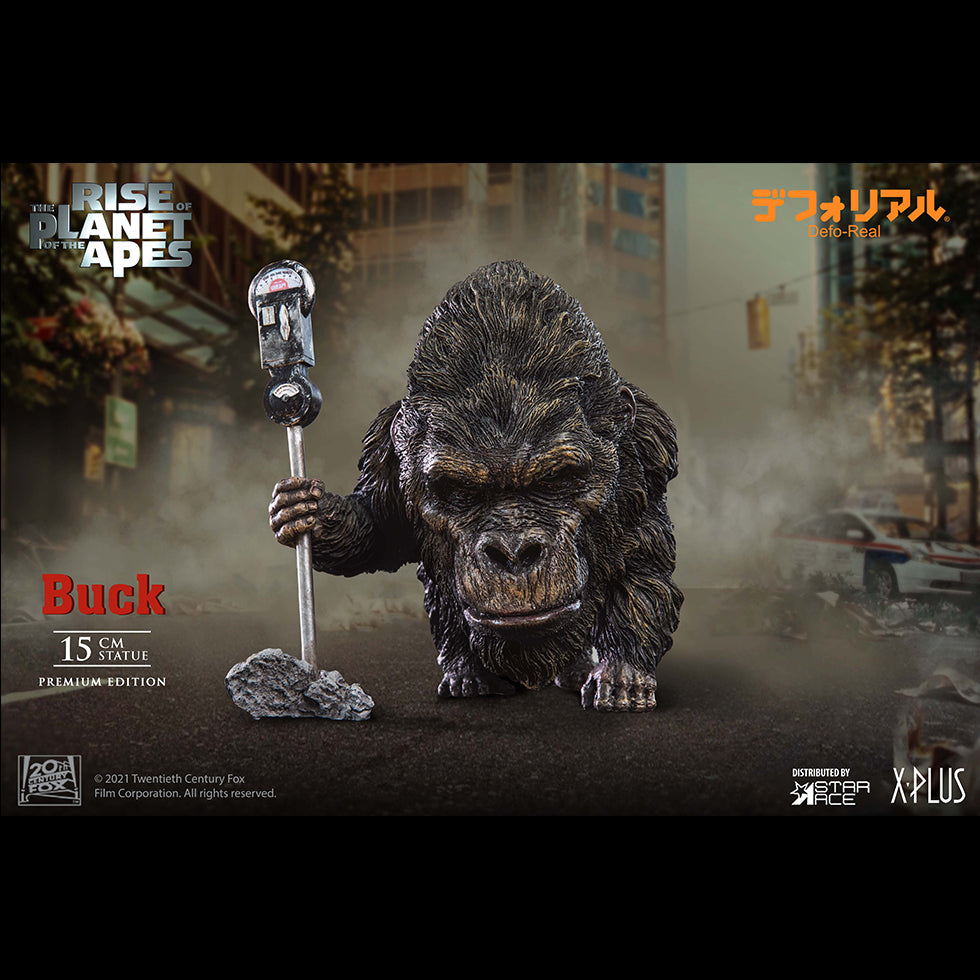 DF Buck DX
