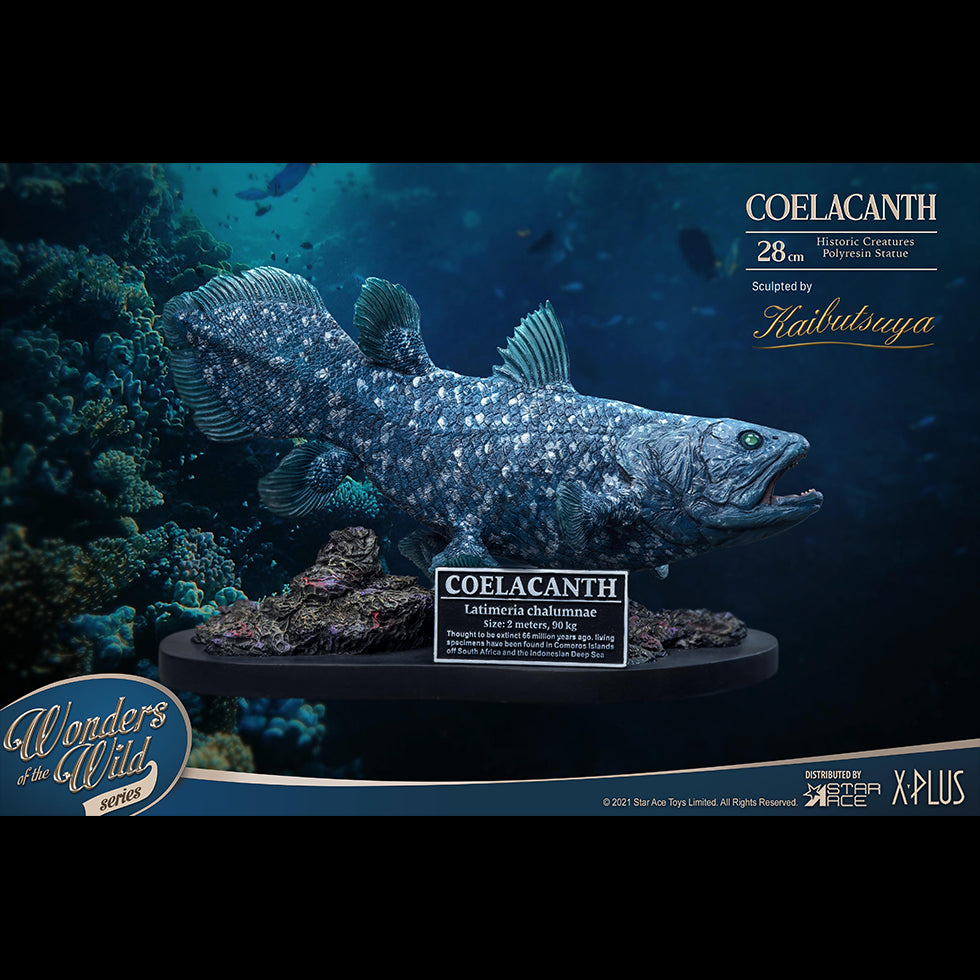 Coelacanth(DX Ver)