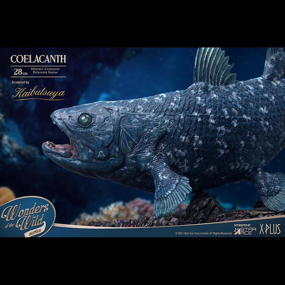 Coelacanth(DX Ver)