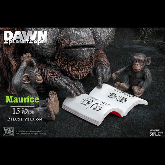 DF Maurice DX