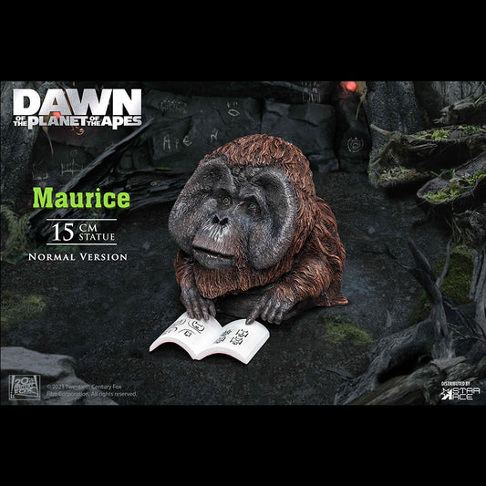DF Maurice NX